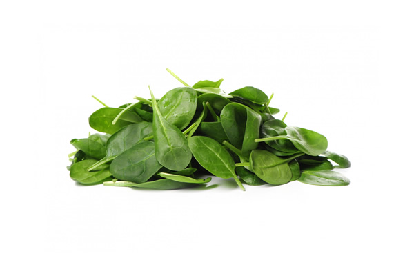 Spinat - gesunder grüner Gemüse Genuss